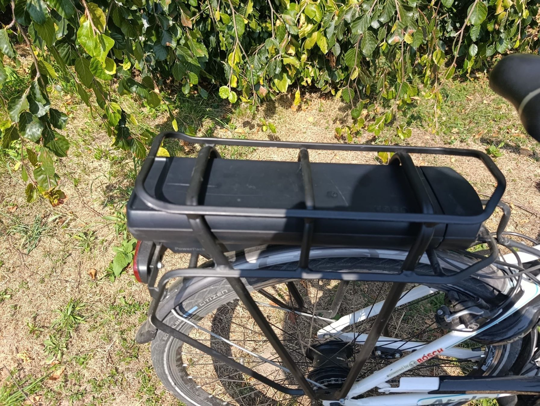 Bosch Vélos: elo électrique Italian moteur Bosch – D'occasion à Monthey par Sws5 5