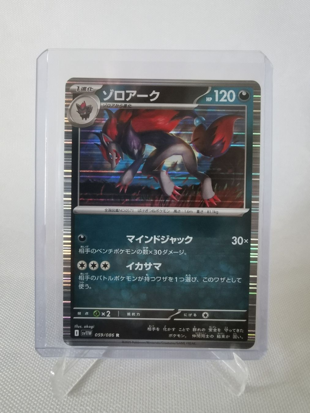 Pokémon Cartes à collectionner: Pokémon Zoroark 059/086 JP – Neuf (Voir description) à Liestal par fisherman44