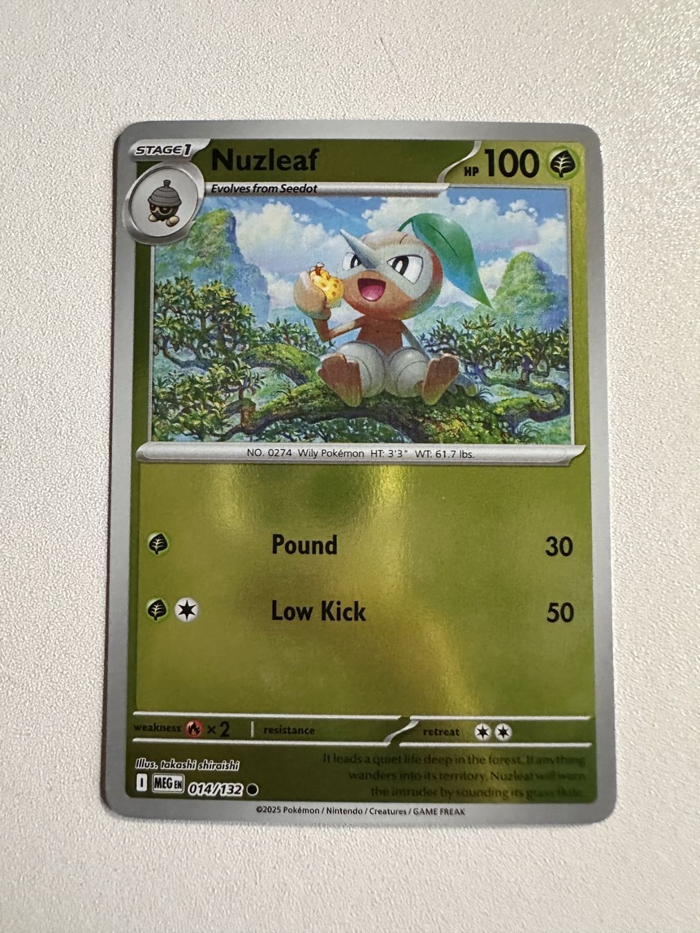 Pokémon Carte collezionabili: Nuzleaf HOLO MEG 014/132 EN – Usato da Zürich venduto da 05t_bwx2