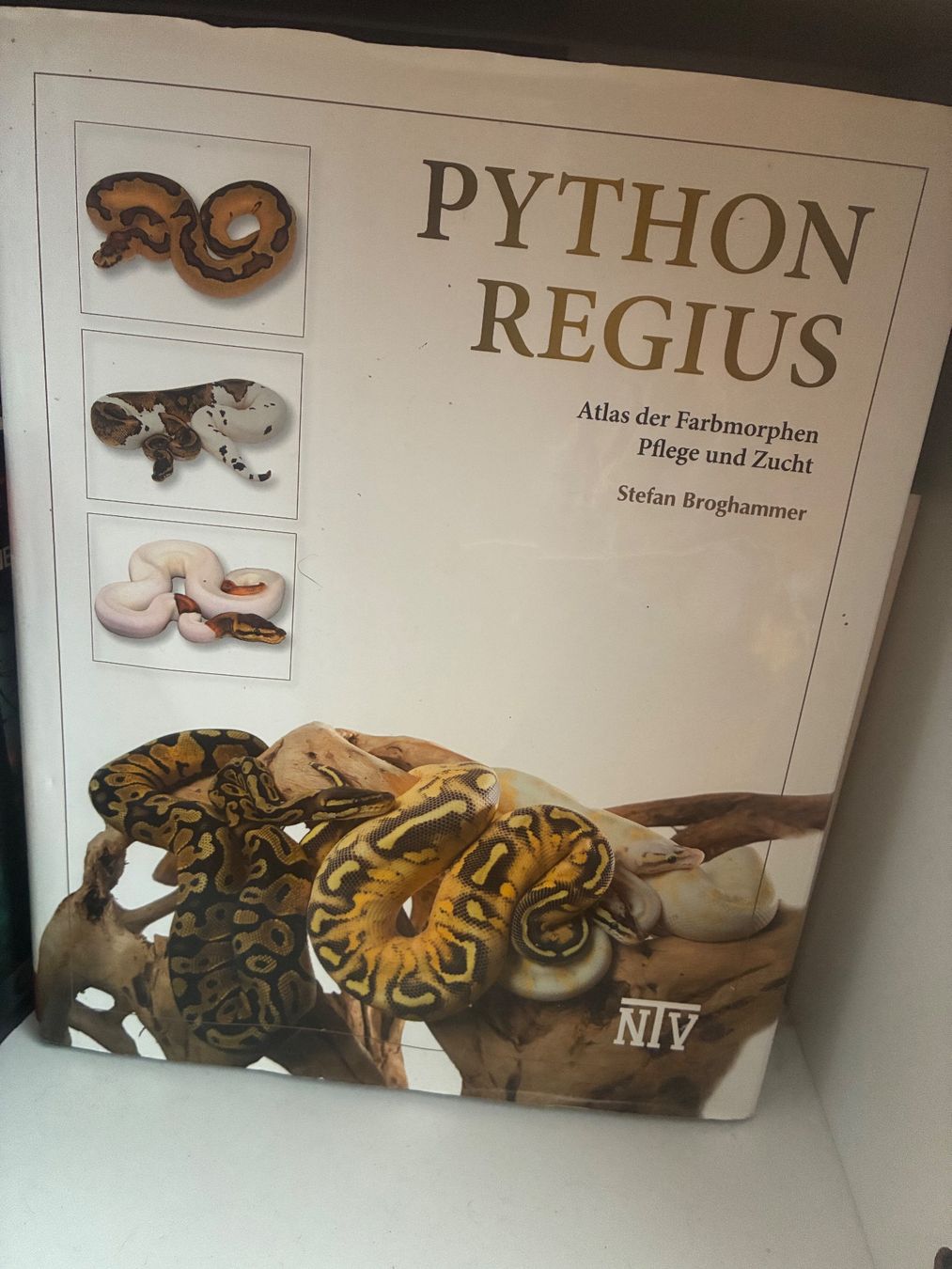 Livres: Python regius von Stefan Broghammer – D'occasion à Kreuzlingen par jan_fq77