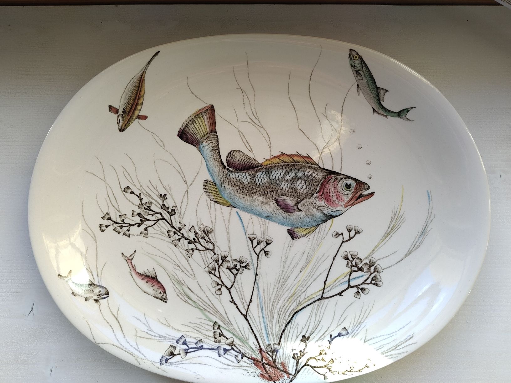 Johnson Brothers Piatti di portata: Johnson Bros Fisch Servierteller Oval England  – Usato da Biel/Bienne venduto da DoNa82 1