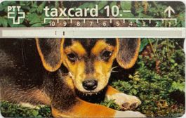 PTT Hund Taxcard CHF 10.00 teilgebraucht