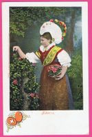 Schwyz Trachtenfrau