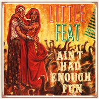 Little Feat – Ain't Had Enough Fun 2LP