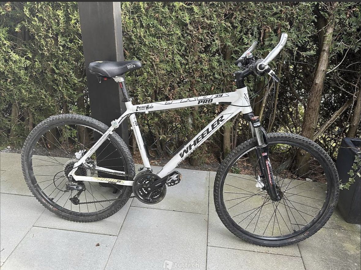 Biciclette: Damen Mountainbike – Usato da Walzenhausen venduto da pfuedi81