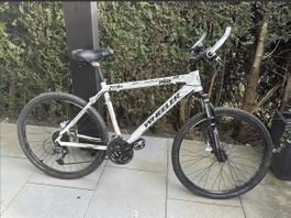 Damen Mountainbike