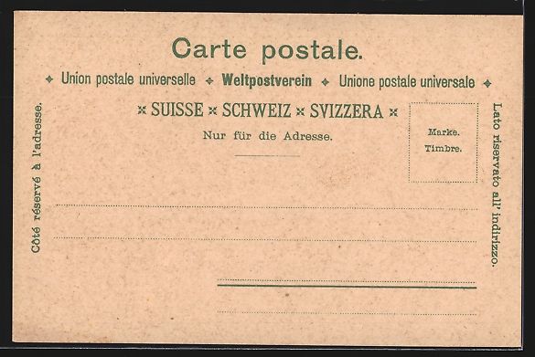 Ansichtskarten: Litho St. Gallen, Totalansicht, Monument – Gebraucht aus Berlin von bartko-reher 1
