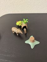Playmobil Erdfelkel  mit Zubehör 