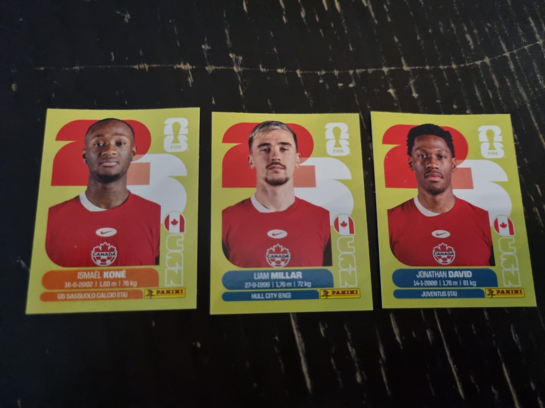 Panini Carte collezionabili: Panini CAN – Nuovo (secondo la descrizione) da Kaiseraugst venduto da muggel27