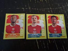 Panini CAN
