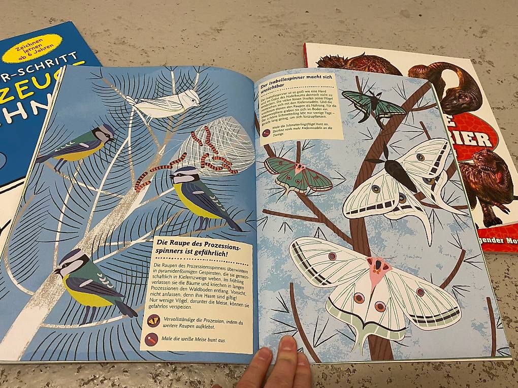 Libri: Bücher und Hefter für Kinder – Nuovo (secondo la descrizione) da Zürich venduto da Cleo234 2
