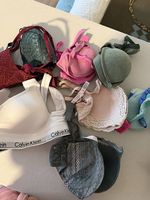 BH Bra  