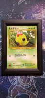 Caterpie 010 - Crossing The Ruins JP