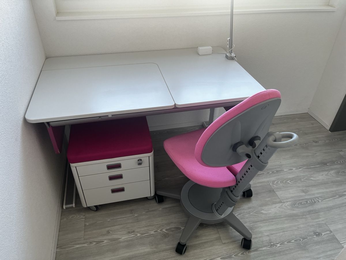 Bureaux: Moll Champion Compact  – D'occasion à Weinfelden par Marco035