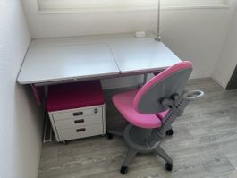 Moll Champion Compact 