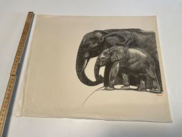 Lithografie von Paul Jouve (1875–1973).