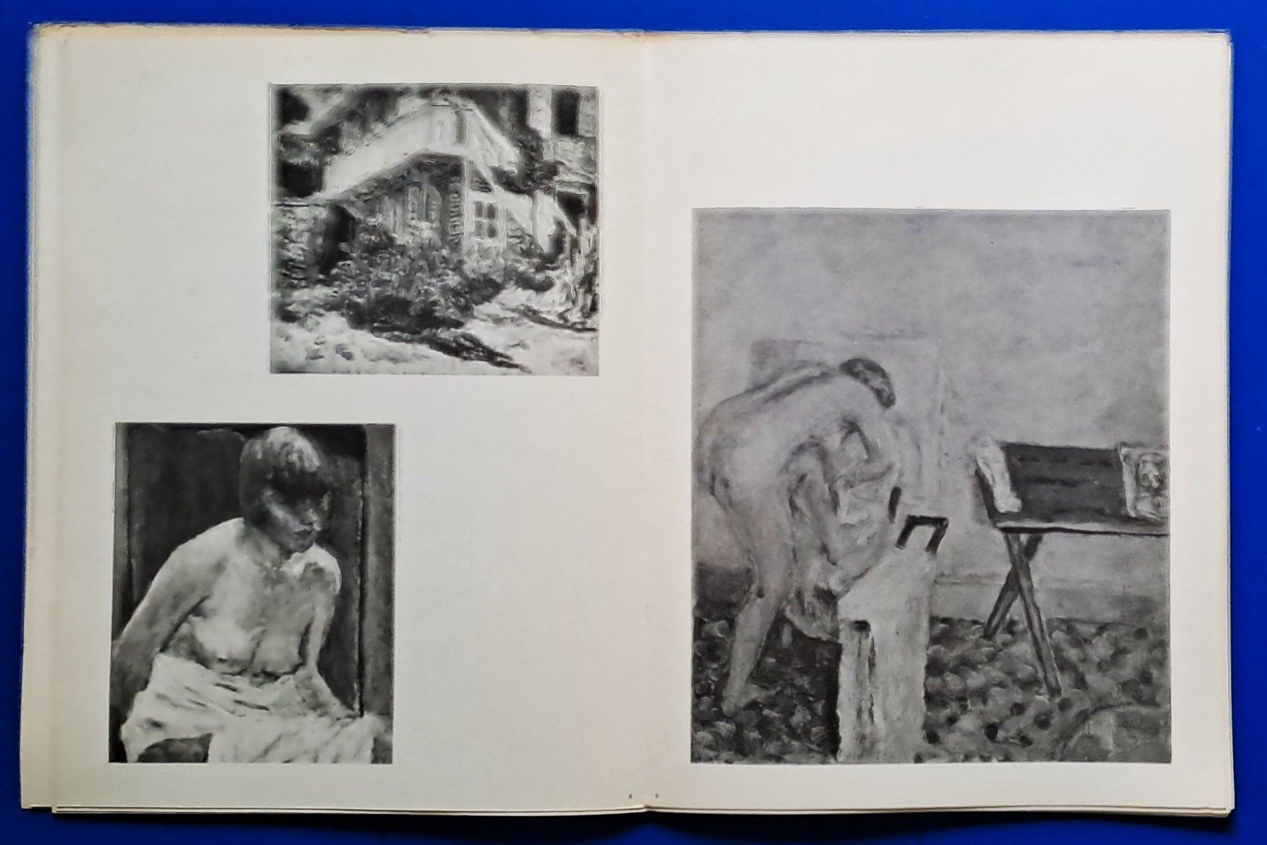 Libri: BONNARD  vollständiges Ex. SUITES No. 23 EA 1969 – Usato da Zürich venduto da archiphil 5