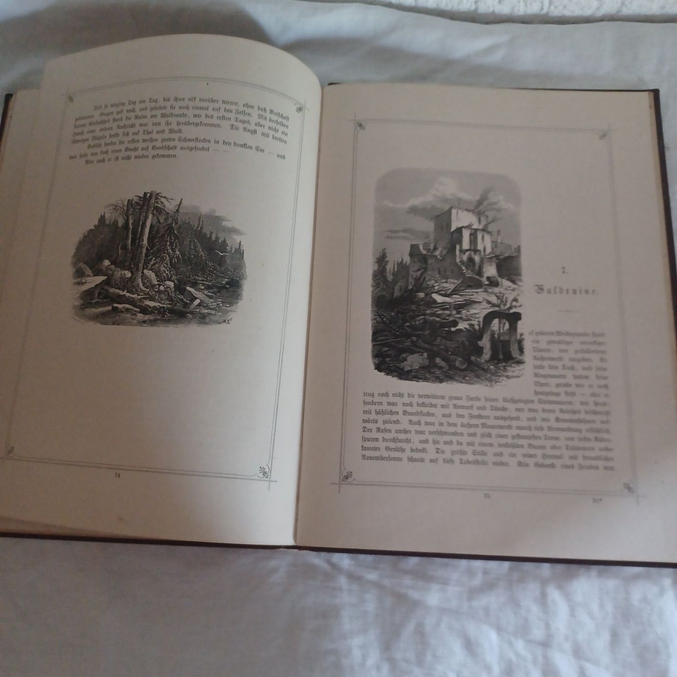 Livres: Buch derHochwald Leibzig1882 – D'occasion à Abtwil SG par luupsy 6