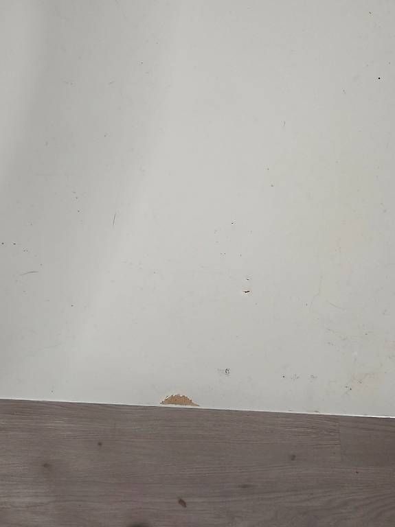 Regale: IKEA – Gebraucht aus Rehetobel von dne_b76f 1