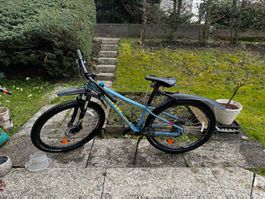 Specialized Fahrrad/Velo Jugend/Junge S