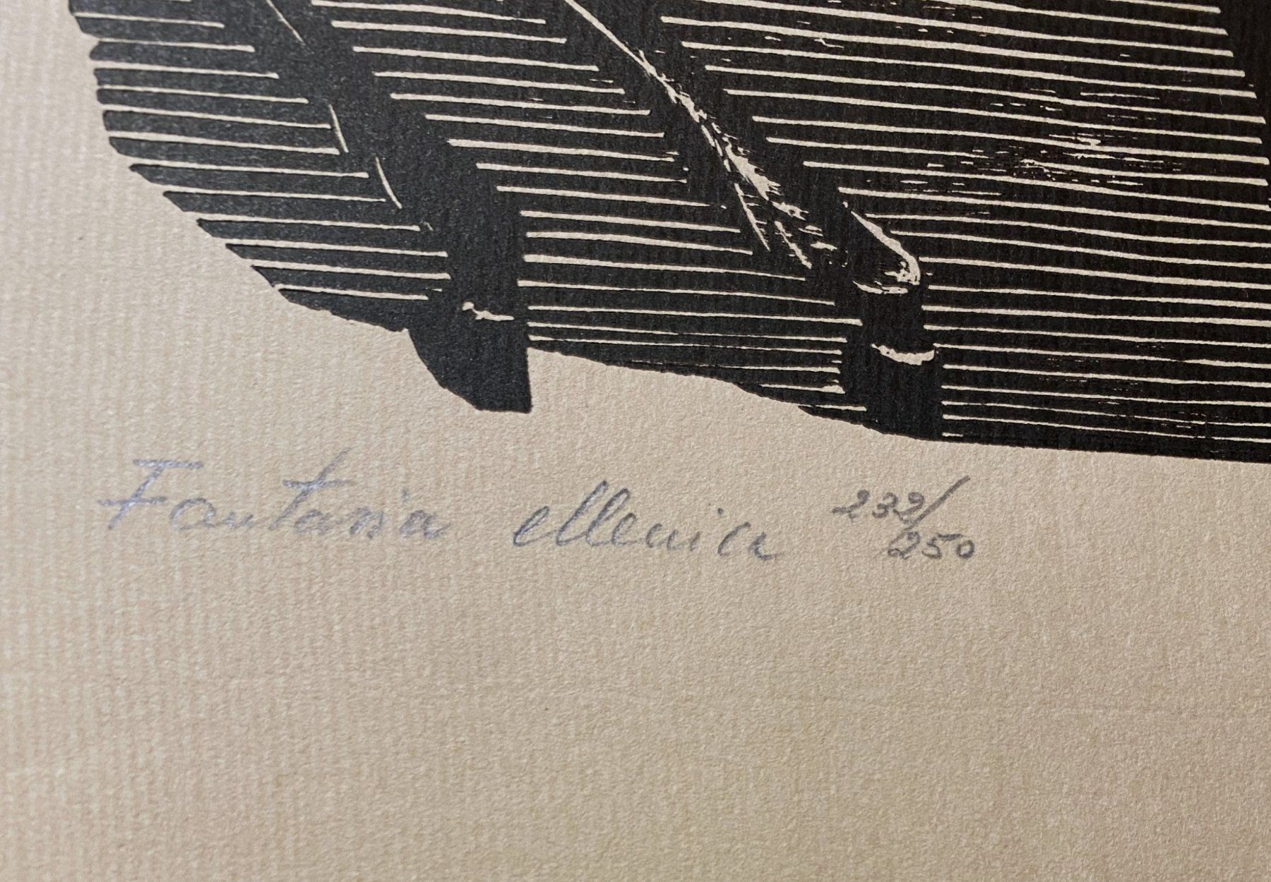 Xilografie: Aldo Patocchi : Holzschnitt 1973 – Nuovo (secondo la descrizione) da grenchen venduto da Belarte 2