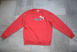 Jungen Pulli Puma gr. 164