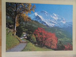 Clementoni 1000er Puzzle