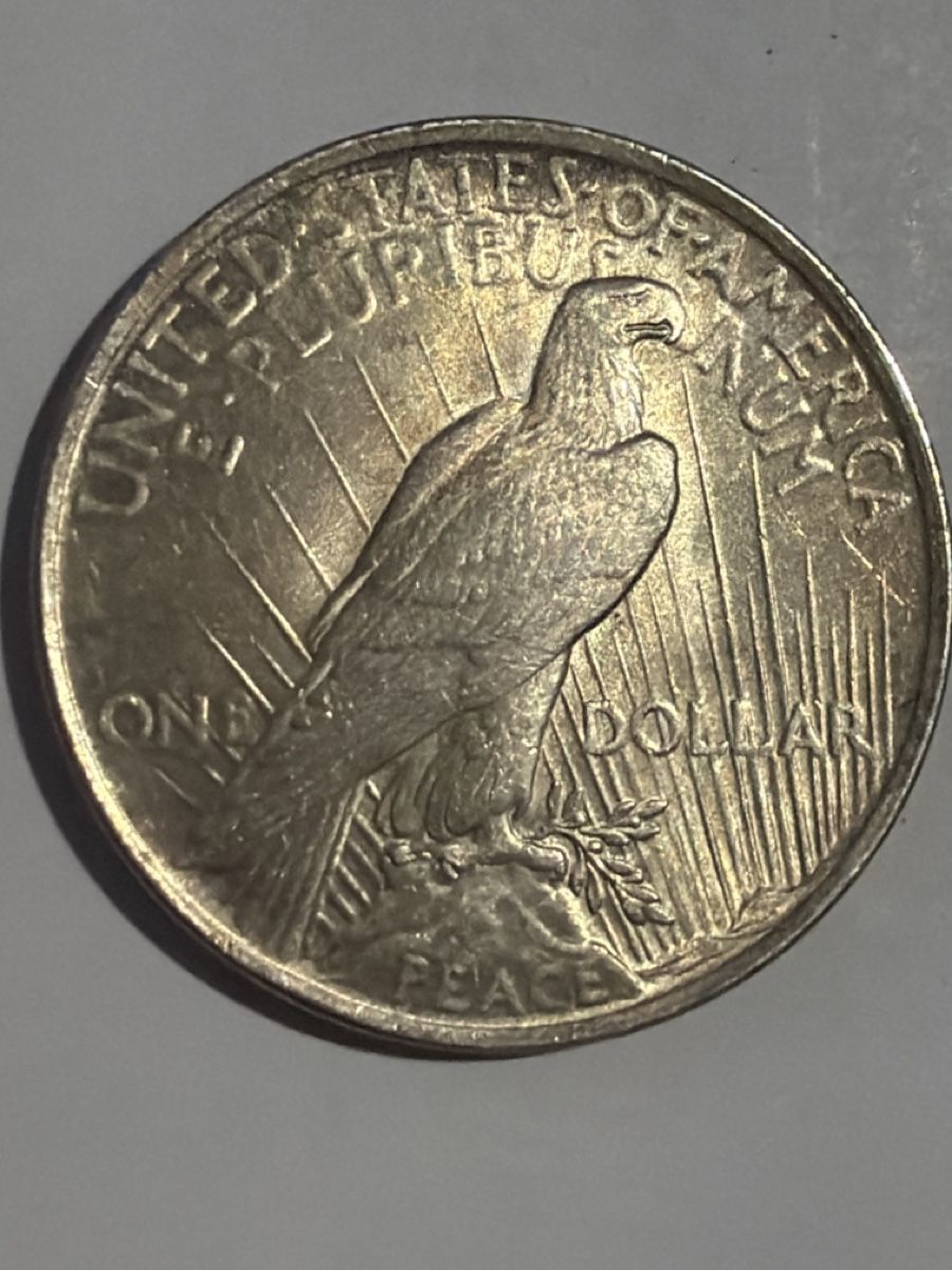 Tutti le monete: Ohne Dollar Liberty – Usato da Hittnau venduto da Pat_yl7f 1