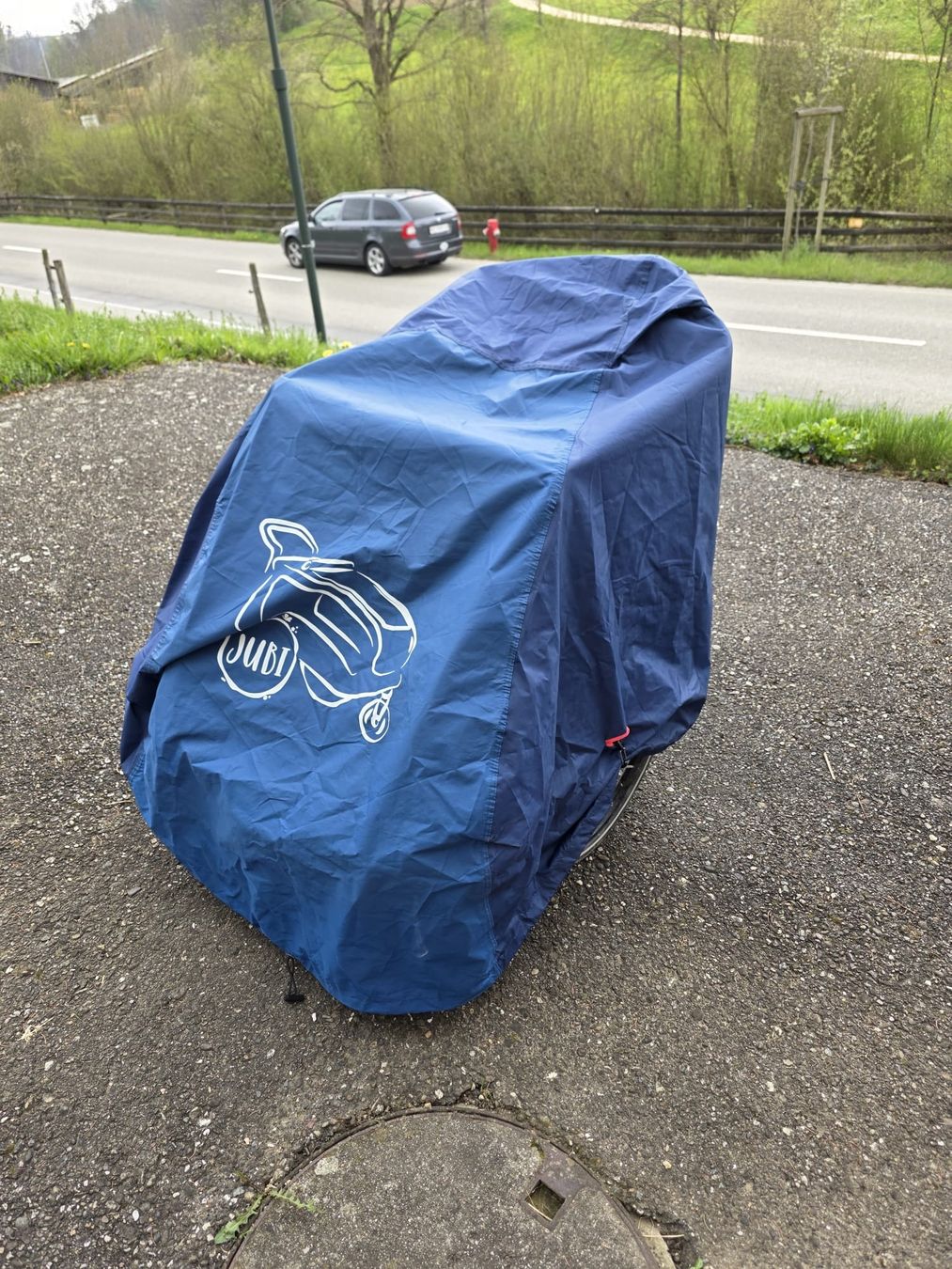 Thule Rimorchi: Thule Courier 2 – Usato da Zeglingen venduto da cor_8kxq 2