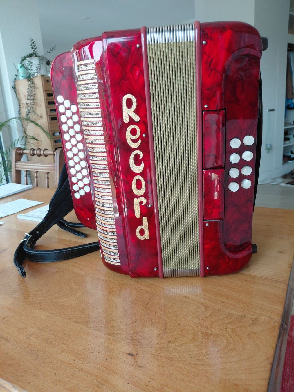 Instruments de musique: RECORD. Diatonisches Accordeon, Handorgel – D'occasion à Zürich par Breze 1