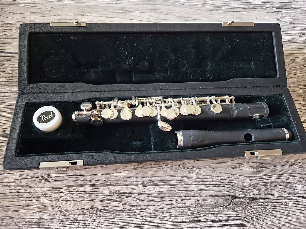 Strumenti musicali: flûte piccolo PFP-105 Neuve jamais utilisée – Usato da Gingins venduto da zoe_d59r