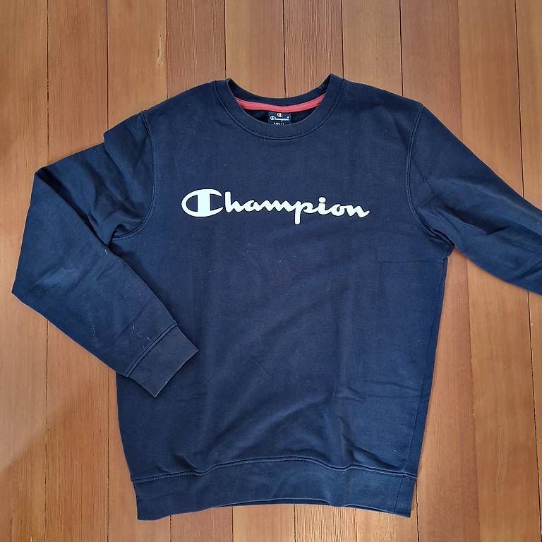 Champion Pullover & Sweatshirts: Champion Pullover Gr. S – Gebraucht aus Muttenz von bebbi523