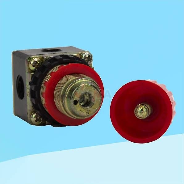 Compressori: Kompressor 12bar Druckminderer Standard Zubehör – Usato da Pratteln venduto da nt.geschenkshop 1