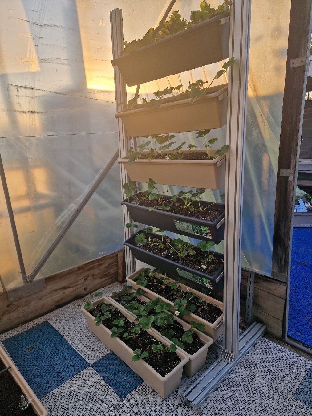 Homebox Altro: Vertical Gardening im Trend – Usato da Rothrist venduto da Aloe16