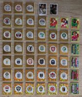 +600 Panini – Ohne Duplikate