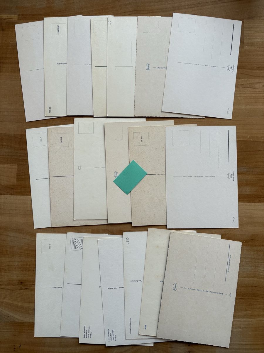 Cartoline postali: 20 AK mit Katzen Motiv – Usato da Rümlang venduto da Kartenpost1 1
