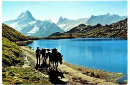 GRINDELWALD Maultierpost am Bachalpsee auf das Faulhorn