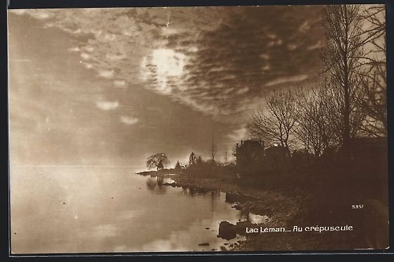 Cartoline postali: AK Lac Léman, Au crepuscule, 1917 – Usato da Berlin venduto da bartko-reher