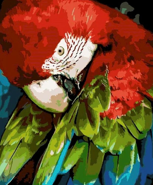 Malen nach Zahlen - Papagei | Kaufen auf Ricardo