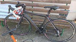 Orbea Aqua Rennrad