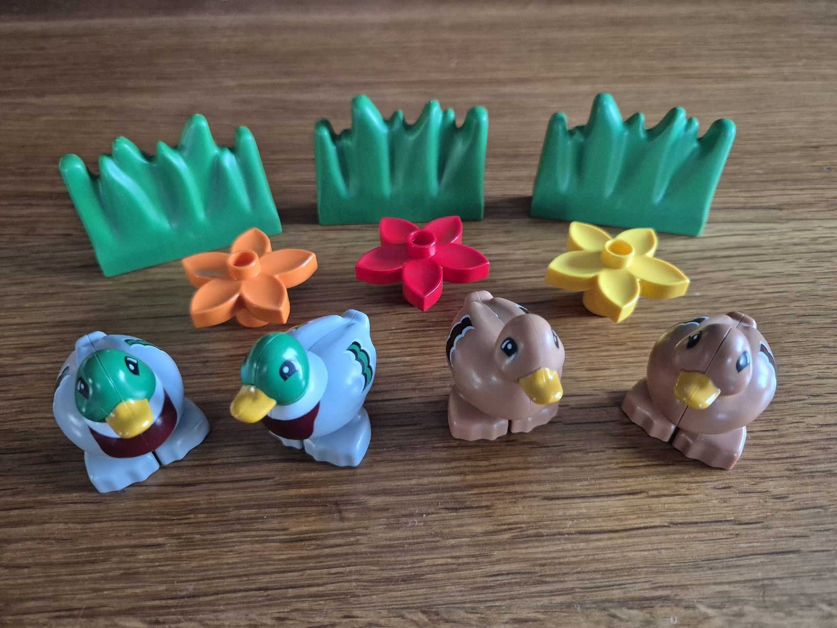 Giocattoli: Duplo Set Enten (Y301) – Usato da Münchwilen TG venduto da VT-Trader