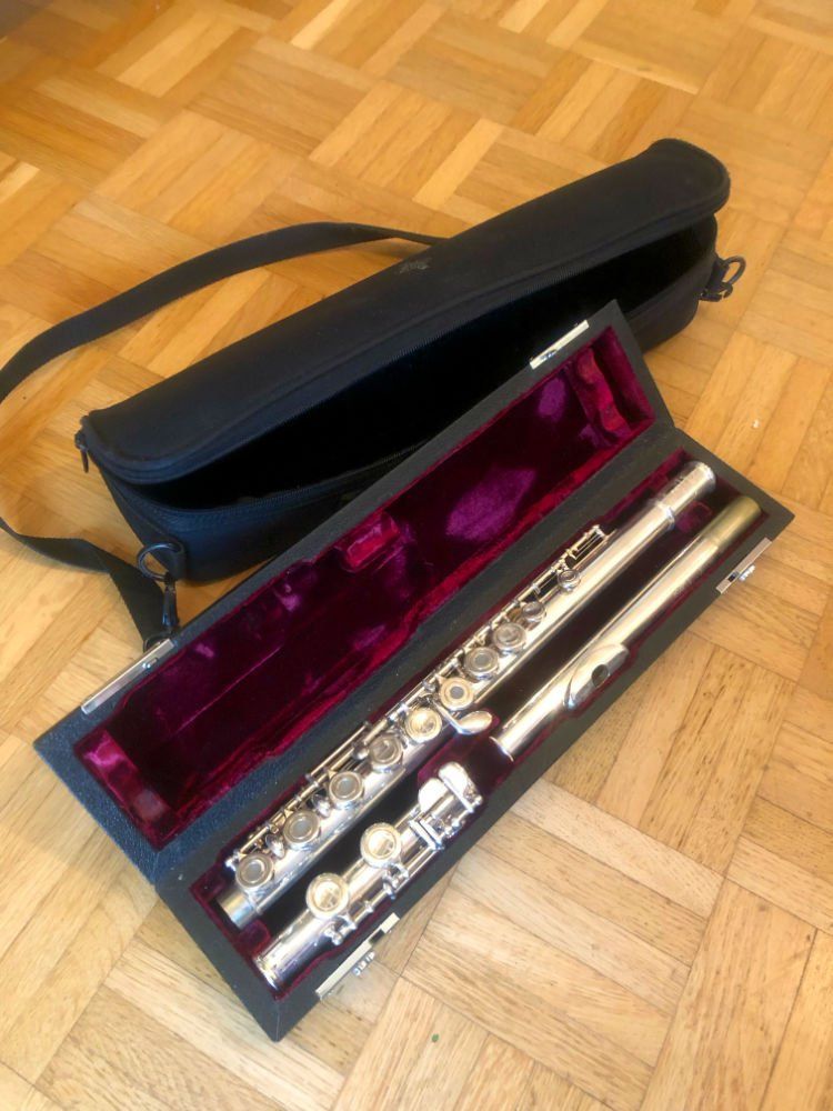 Strumenti musicali: Querflöte für Einsteiger – Usato da Männedorf venduto da ste_b6y7