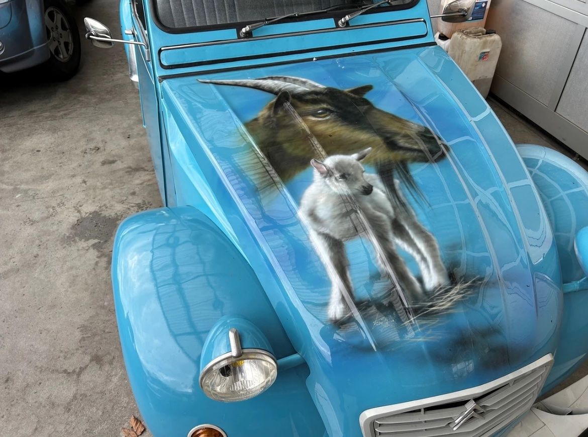 Citroën Automobili: Citroen 2CV6 Döschwo – Usato da Wasen im Emmental venduto da bracci 1