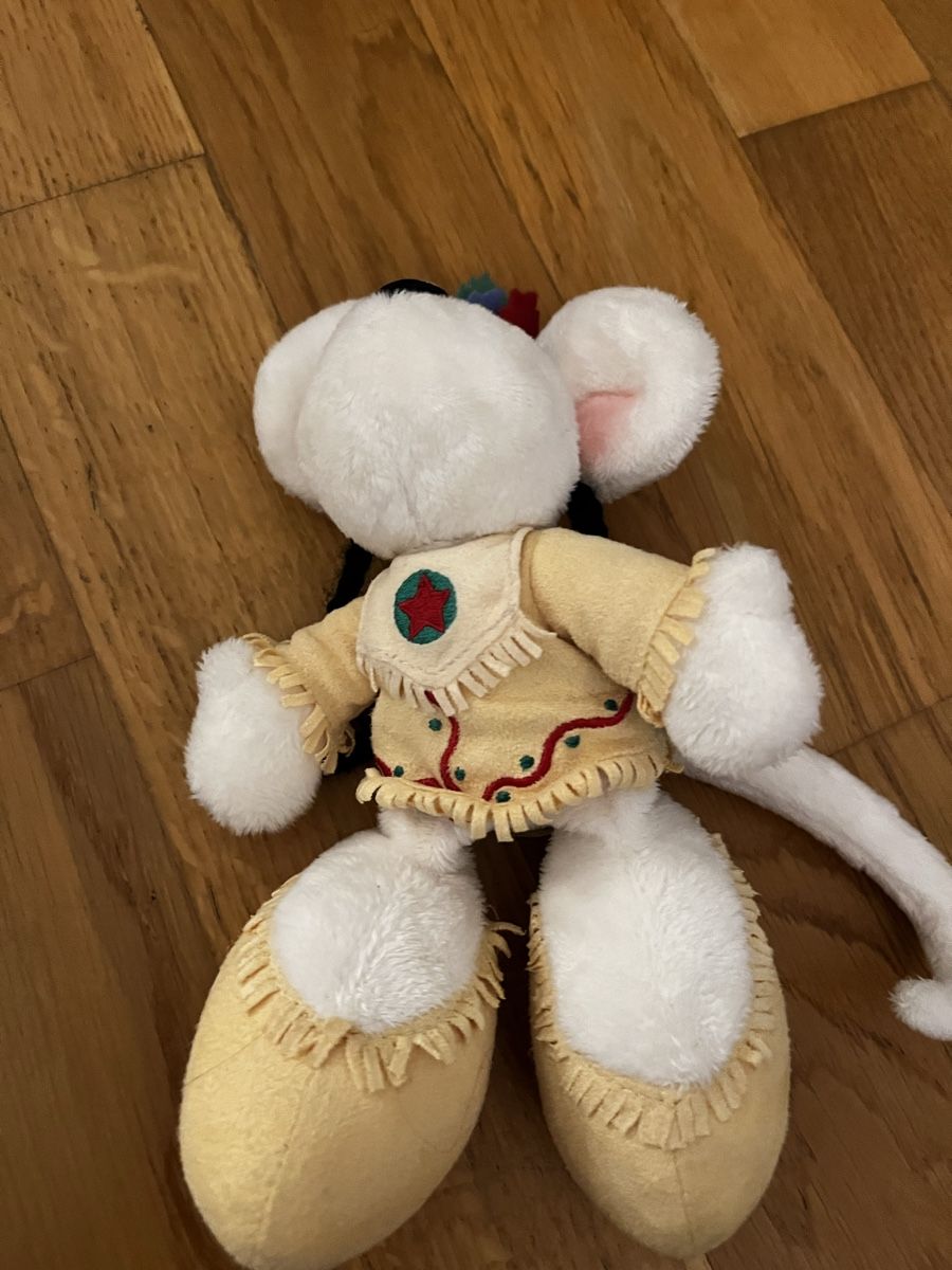 Puppen: Diddlina als Pocahontas – Neu (gemäss Beschreibung) aus Lyss von dom_tj5h 1