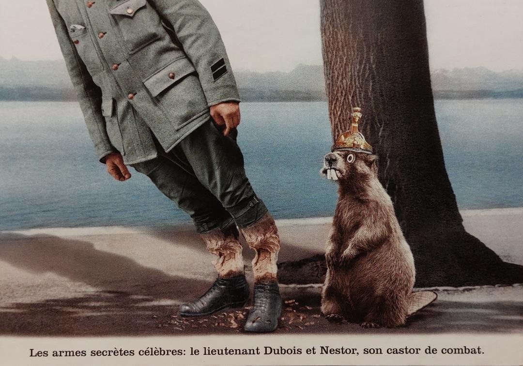 Cartoline postali: Plonk & Replonk - Les armes secrètes célèbres - réf 0182 – Usato da Delémont venduto da Domdom1