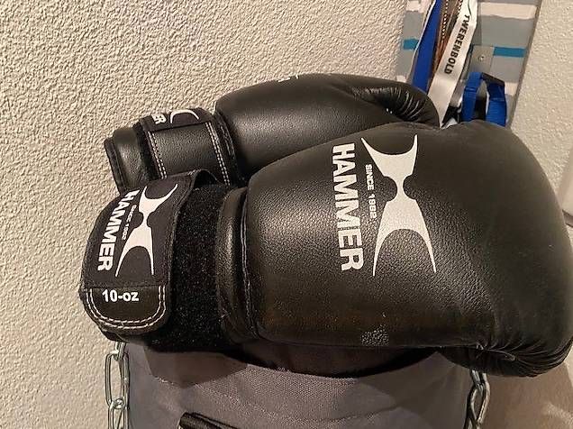 Hometrainer: HAMMER Cobra Box Set plus robuste Zusatzkette mit Haken – Gebraucht aus Ballwil von rodproc 1