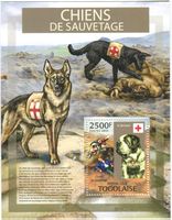 Block "Bernhardiner, Deutsche Schäferhund". Togo