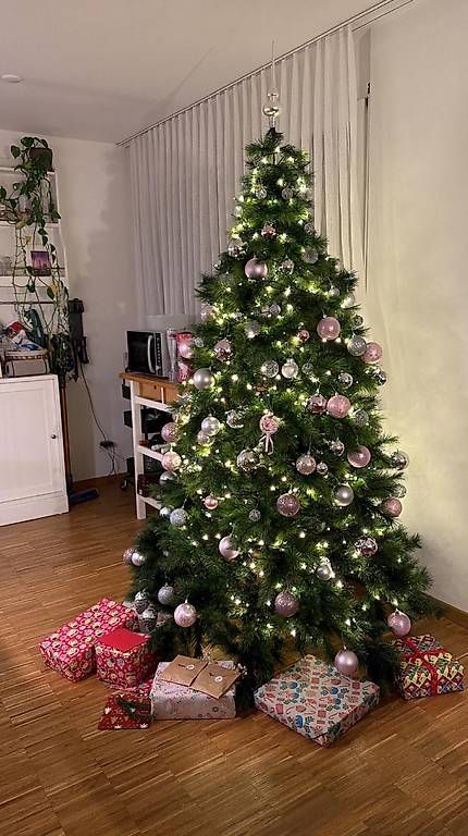 Tutte le decorazioni: Grosser Kunsttannenbaum ohne Kugeln – Usato da Bottmingen venduto da sajul