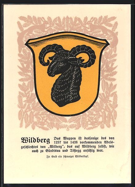 Cartoline postali: Künstler-AK Wildberg, Gemeindewappen – Usato da Berlin venduto da bartko-reher