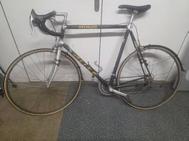 Rennvelo Specialized ALLEZ EPIC Carbon